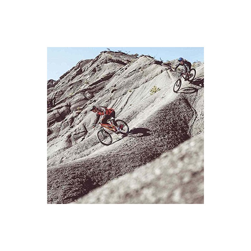 Bollé Unisex Adapt Sunglasses, grey