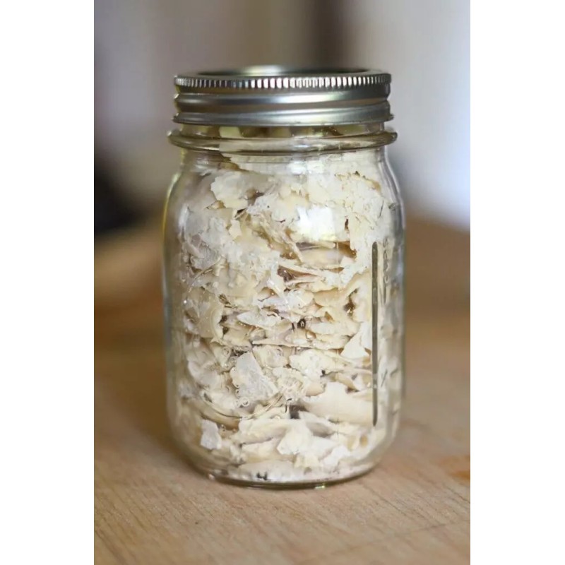 Heritage Sour San Francisco SOURDOUGH STARTER Dehydrated 200+ Yrs Old