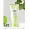 Areal Apple Cider PH Balancing Cleansing Foam 150ml / 애플