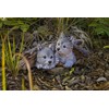 Hi-Line Gift Grey Wolf Cubs Hiding Under Log Statue