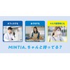 Asahi Group Food Mintia Wild & Cool 50 Tablets