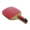 Everlast Table Tennis Racket Plywood Table Tennis Bat Penholder Racket 8mm