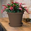 Bloem Terra Plant Saucer Tray for Planters 9-12" Chocolate Brown