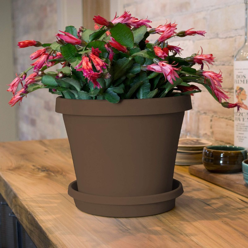 Bloem Terra Plant Saucer Tray for Planters 9-12" Chocolate Brown