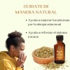 Oleum Vitae - Aceite Esencial 100% Puro De Orégano 120ml