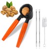BANTI Nutcracker Walnuts Walnut Cracker Nut Opener Nut Cracker for
