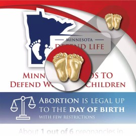 Heritage House '76 Precious Feet, Gold-Colored, Minnesota Stats Card Jewelry, Lapel Pin