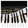 Removable Piano Keyboard Note Labels, Silicone Piano Notes Stickers Guide