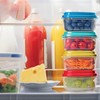 Fit & Fresh Small Plastic Containers 8 oz With Multicolor