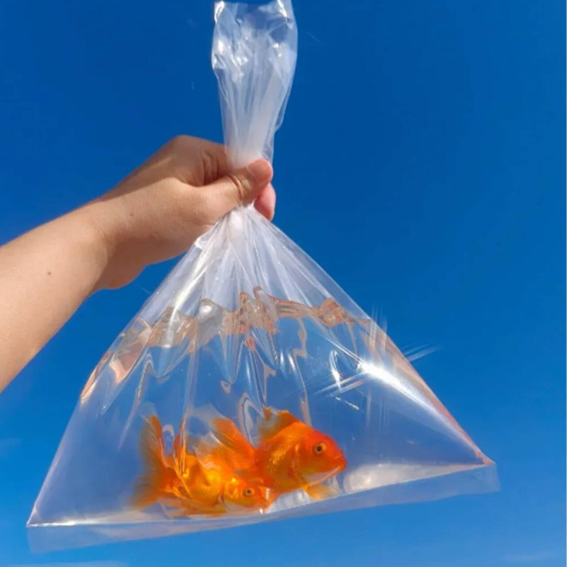 100 Pcs 6"x12" Clear Fish Shipping Bags, Leak-Proof, 2 Mil