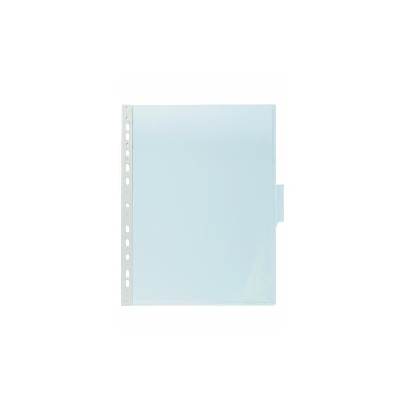 Durable Sichttafel Function Panel A4, Beutel à 5 Stück, transparent,