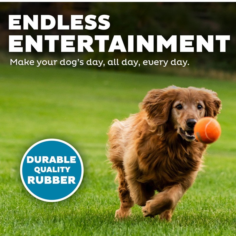 Outward Hound Squeaker Ballz – Squeaky Tennis Balls for Dogs