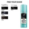 L'Oreal Paris Hair Color Root Cover Up Hair Dye Black