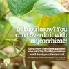 Big Foot Big Foot Ecto Mycorrhizae Water Soluble Powder for
