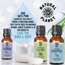Natural Planet Eucalyptus Essential Oil 15ML Natural 100% Pure & Undiluted Therapeutic Grade, Cruelty Free