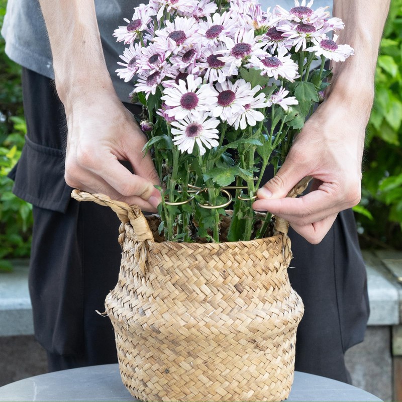 Kinretixia 2 Pieces Plant Trunk Support, Durable Iron Gripper Holder