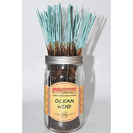 Nature's Enlightenment Ocean Wind Wildberry Incense Sticks- 10 Sticks- Incense Sticks