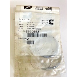 CUMMINS RING,RETAINING 3920692