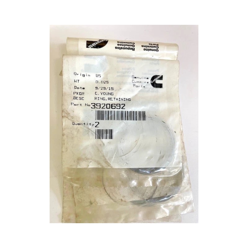 CUMMINS RING,RETAINING 3920692