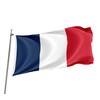 Brick Takeover France Flag - France Flags and Flags -
