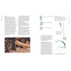 Traditional Woodland Crafts New Edition: A Practical Guide to Coppicing,