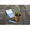 Nutley's 10cm Aluminium Labels Plant Seedling Markers (Pack of 250)