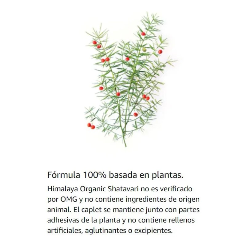 60caps Shatavari Orgánico 1,300mg Para Salud De La Mujer
