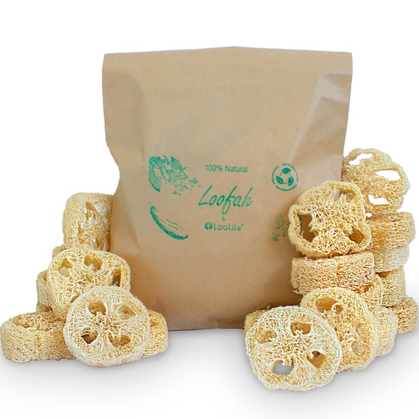 Rebanadas de lufa 100% naturales para hacer jabón (paquete de 20) – Cortes de luffa – Kit de luofah – Productos para hacer jabón orgánico – Esponja de lufa natural – Jabón de lufa