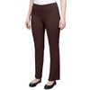 Ruby Rd. Womens Petite Mid-Rise Pull-On Straight Solar Millennium Tech