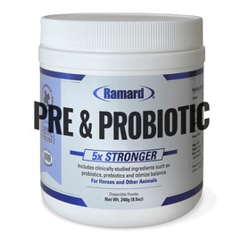 Ramard Total Prebiotic & Probiotic Equine Formula - Natural Digestive Supplement for Horses Optimal Gut Health, Nutrient Absorption, Foal Support Pro & Pre Biotics for Livestocks and Horse 8.5 oz Jar