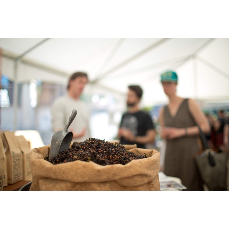 Prana Chai 3 Flavor Sampler - Masala Original Chair, Turmeric