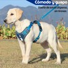 MESVIER Arnés para Perro Mediano Grande Pequeño con Correa 1.5m,