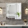 Mepplzian LED Bathroom Cabinet Mirror Smart Wall Defogging Vanity Storage