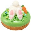 Carrot Sugar Decoration Assortment - 12 pcs