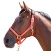 Shires Topaz Nylon Headcollar-Orange Full
