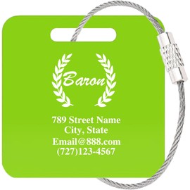 Etiquetas de equipaje personalizadas para maletas, etiquetas acrílicas con nombre personalizado con agujero y lazo de acero para viajes, mochilas, golf, taza de bagwine, impermeable (verde)