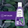 Guhl Silver Shine & Care Shampoo – Contents: 250 ml