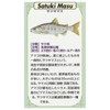 KAJIKAWA Vintage FISH PINS Pin Badge Freshwater Fish Satsuki Trout
