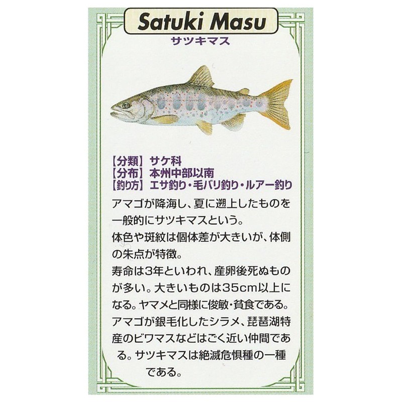KAJIKAWA Vintage FISH PINS Pin Badge Freshwater Fish Satsuki Trout