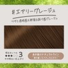Liese Kao Bubble Hair Color - Airy Greige for Black