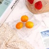 Veumoie 12 PCS Plastic Drain Shelf for 1/6 Size Food