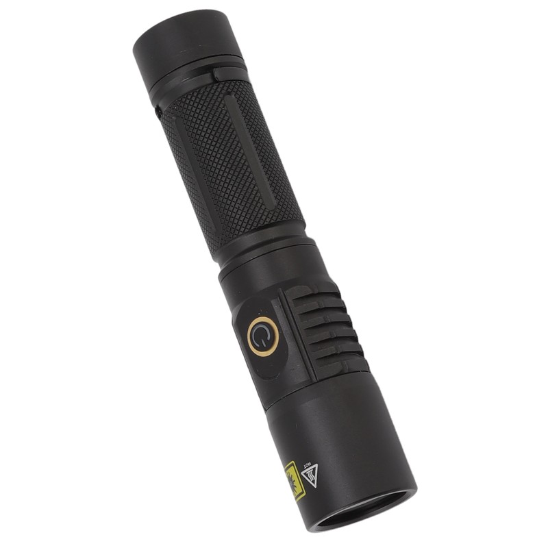Portable 365nm UV Flashlight LED Black Light Torch for Pet