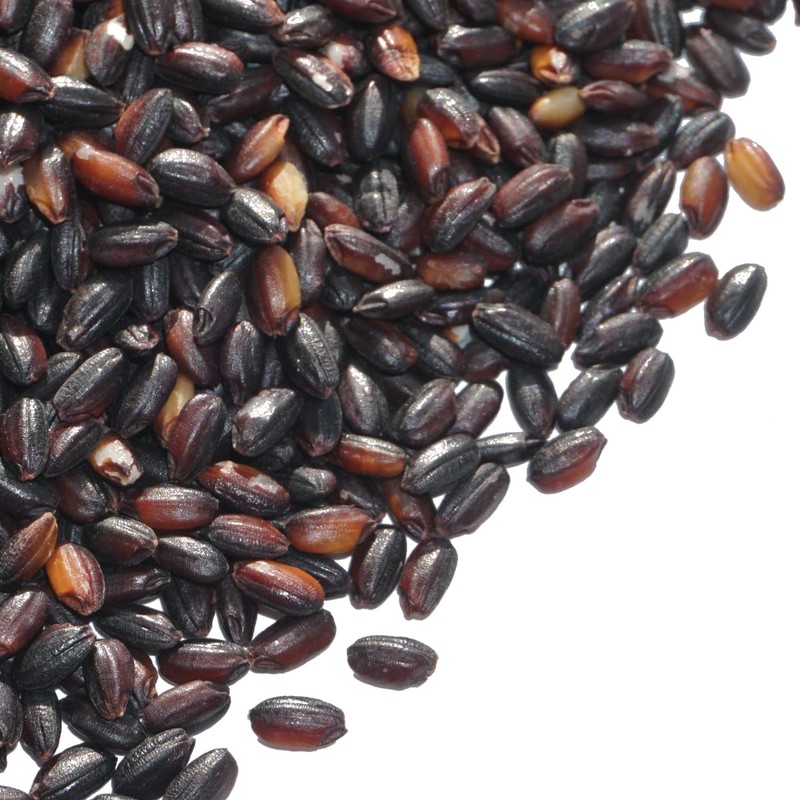 Akita Black Rice, Kuromai, Black Rice, Black Rice, Chicken Blood,