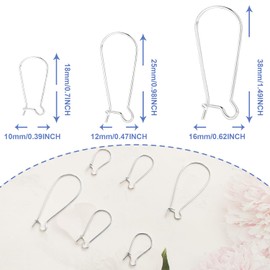 Ear Wire Hooks,300PCS Earring Hooks Dangle Earring Kidney Ear Wires Earring Teardrop Ear Wire for DIY Jewelry Making (300PCS Sliver)