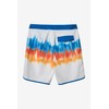 O'NEILL Hyperfreak Dreamweaver 19" Boardshorts, multicoloured