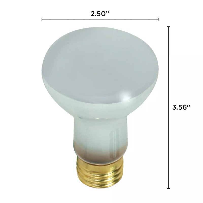 Satco S7002 100R20FL POOL 12V 100W R20 Flood Light Bulb