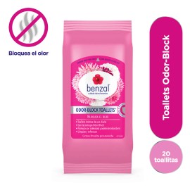 Toallitas Humedas Benzal Higiene Íntima Femenina 20 Piezas