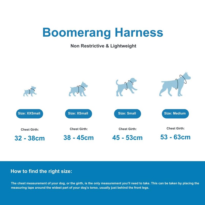 BullyBillows Boomerang Harness, Non-Restrictive, Lightweight, Easy to Put on and