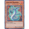 Yu-Gi-Oh! - Evoltile Najasho (ORCS-EN083) - Order of Chaos - 1st Edition - Super Rare