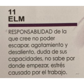 Elm Flores Bach